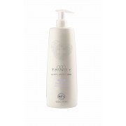 Шампунь Essentials Silver Reflex Shampoo Оттеночный Серебряный, 1000 мл