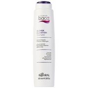 Шампунь Baco Color Collection-Blonde Elevation Shampoo для Блеска и Тонирования Седых Волос, 300 мл