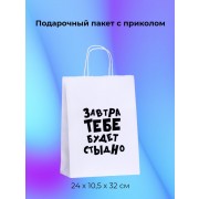Пакет Подарочный Завтра Тебе Будет Стыдно 24 х 10,5 х 32 см, 1 шт